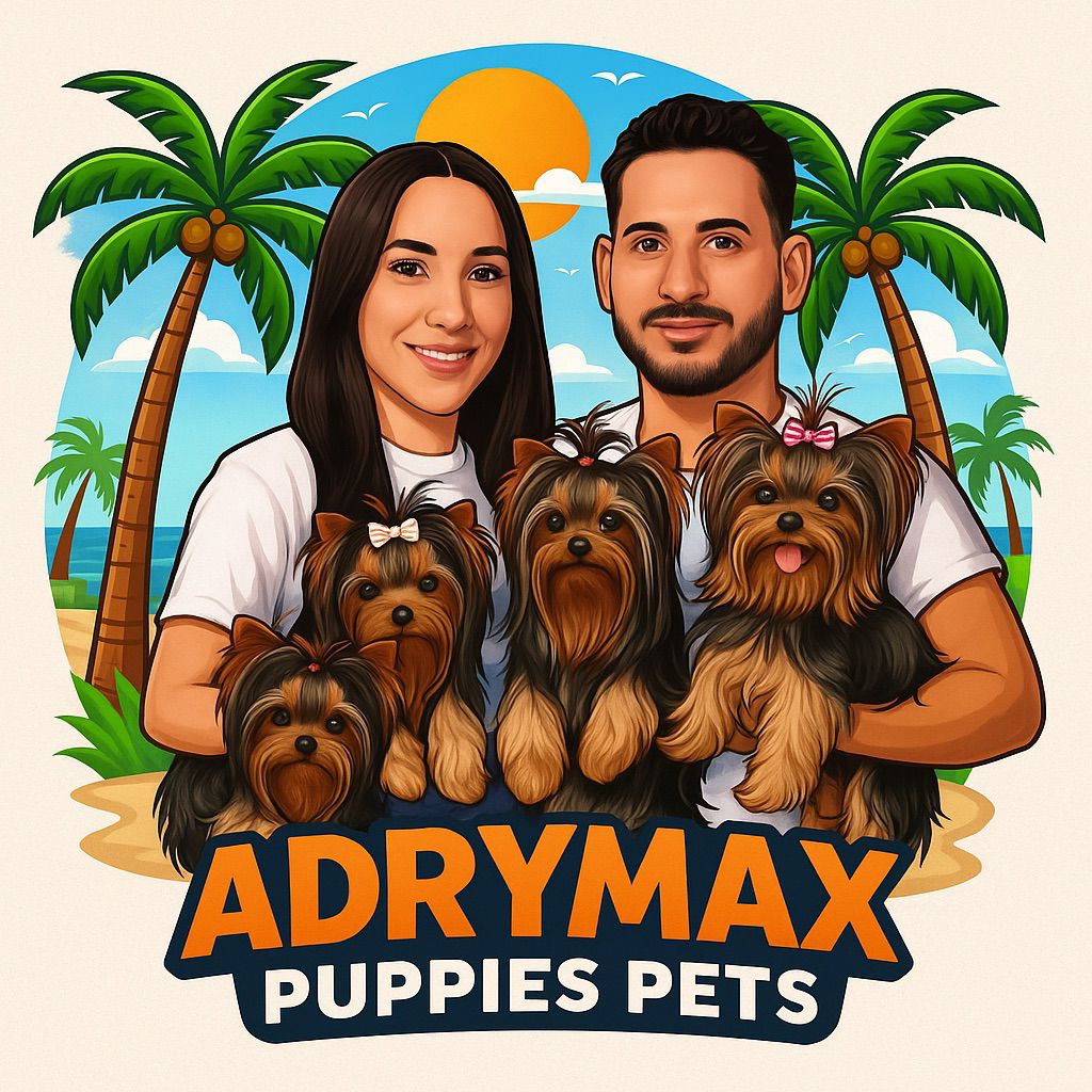 Adrymax Puppies Pets Logo Adrymax Puppies Pets Logo